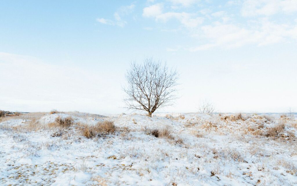 De Beste Manieren om in de Winter Actief te Blijven