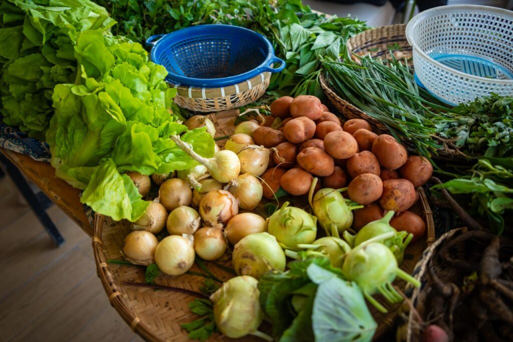 Biologische Voeding Staat Gelijk aan een Betere Gezondheid